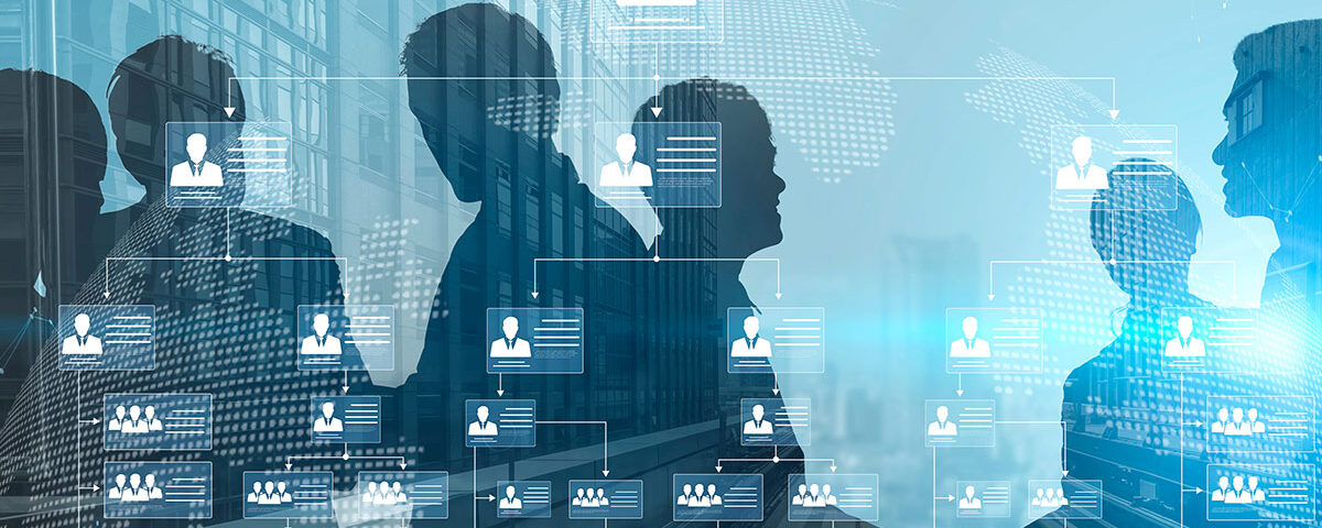 Corporate org chart and team structure visualization Vouch