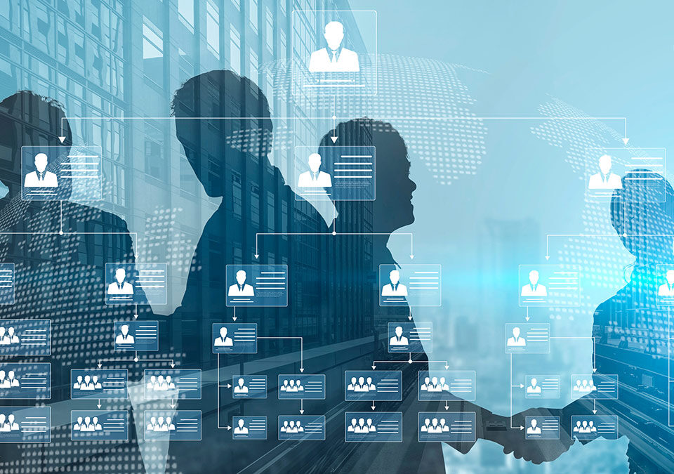 Corporate org chart and team structure visualization Vouch